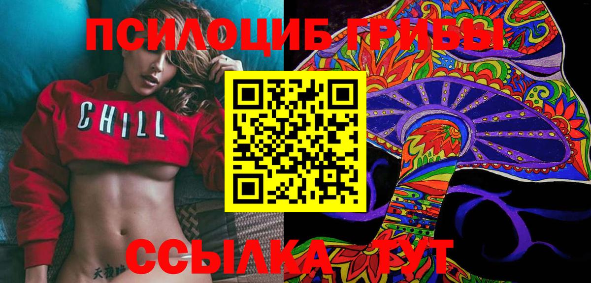 Галлюциногенные грибы Cubensis  Вход с VPN  Псилоцибиновые грибы Magic Shrooms  продажа наркотиков  Черняховск 