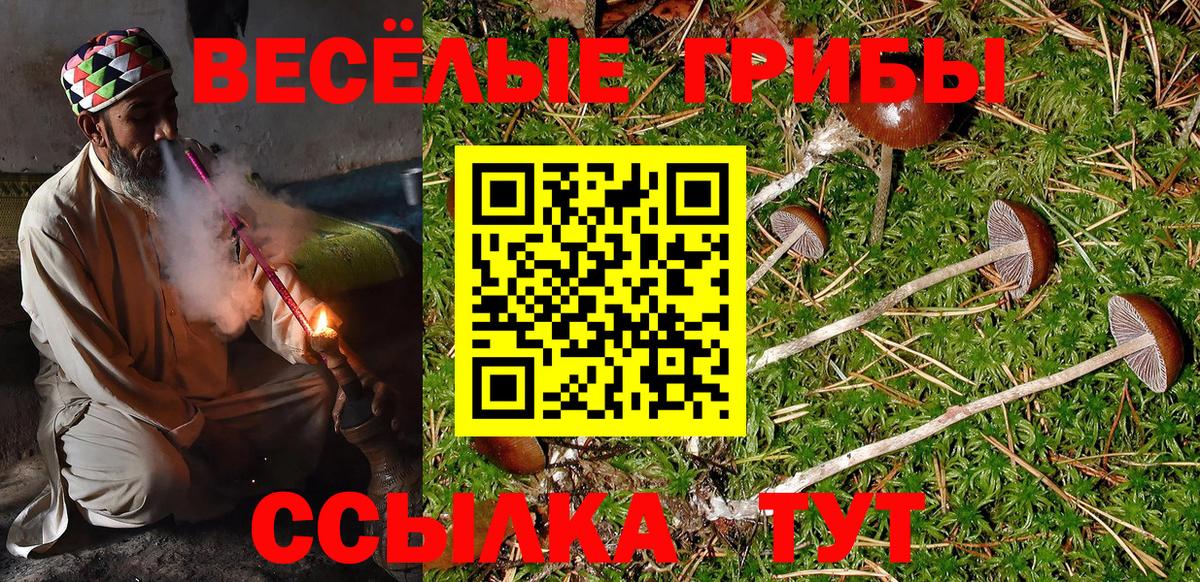 Галлюциногенные грибы ЛСД Черняховск